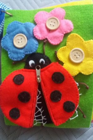 Работа фетровая книжка