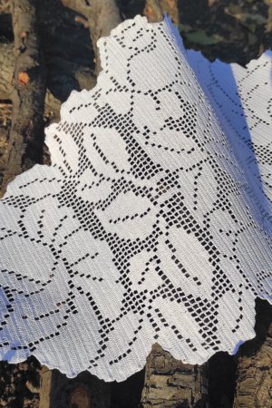 Робота Білосніжна серветка