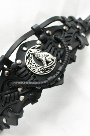 Робота вовк з місяцем