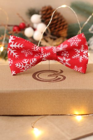 Работа Новогодняя бабочка "Белые снежинки"