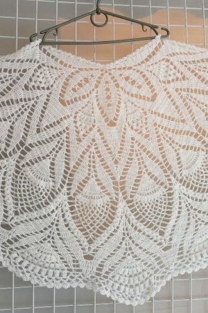 Работа Шаль