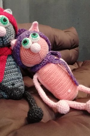 Робота Кіт - Муркот