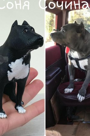 Работа Питбуль пит-бультерьер фигурка статуэтка собака с портетным