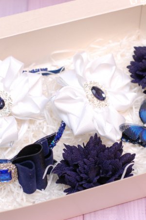 Робота Набір біло-синій прикрас