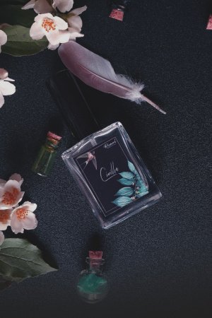 Робота Духи "Cirilla"