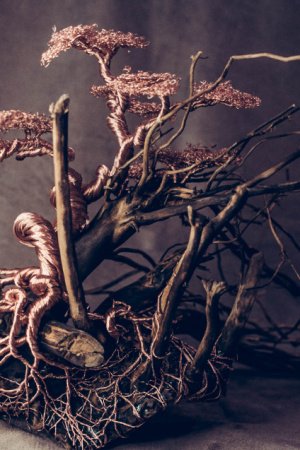 Робота Бонсай ручної роботи