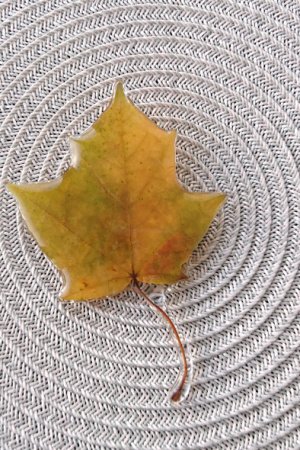 Работа Большая Брошь Кленовый Лист