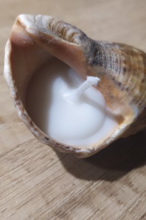 Робота  Свічка в мушлі