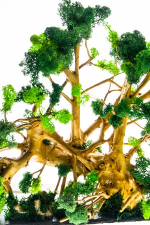 Работа Дерево из стабилизированного мха декоративное 