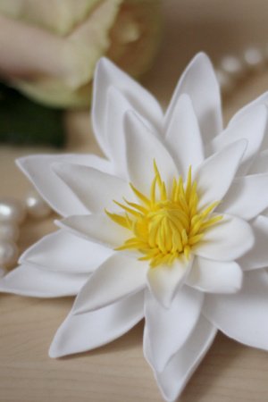 Работа Брошь белый лотос из полимерной глины