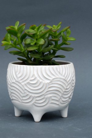 Работа Белый керамический горшок для цветов