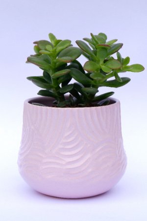 Робота Керамічний рожевий вазон для квітів
