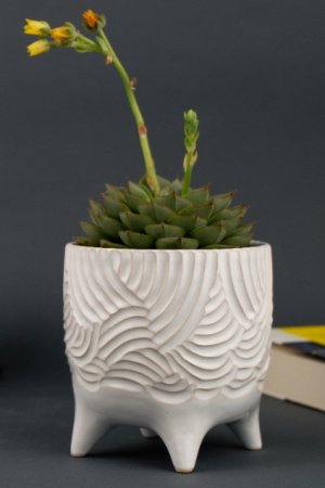 Работа Керамический белый вазон для цветов на ножках