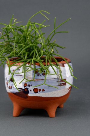 Робота Керамічне кашпо для квітів