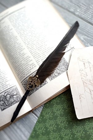 Робота Ручка "Бронзовий дракон"