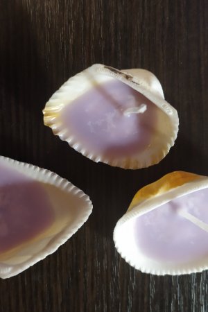 Работа Свечи в раковине, пальмовый+соевый воск