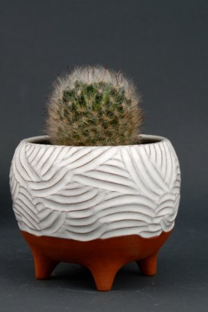 Робота Керамічний білий вазон для рослин