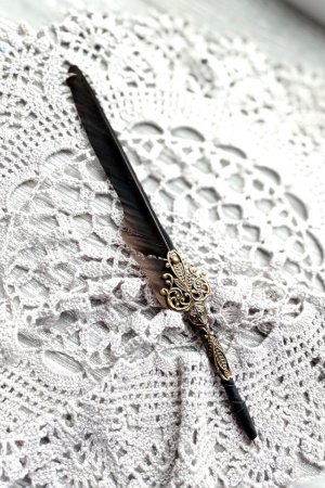 Работа Ручка с пером вороны