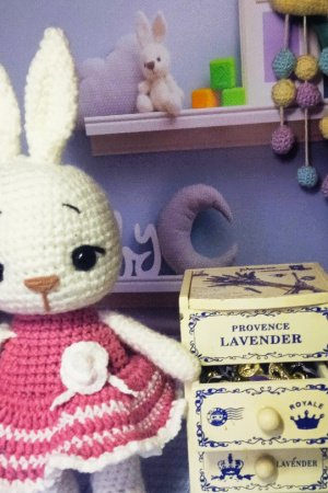 Работа Зайка Софа