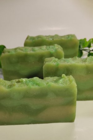 Робота Мило із Алоє Вера