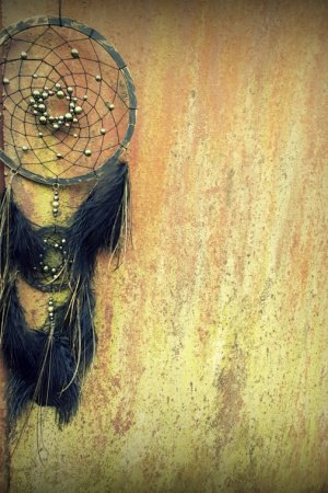 Работа Ловец снов Вир звезд