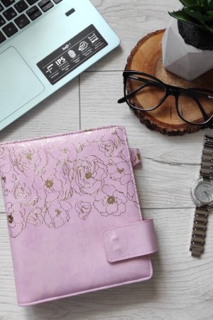 Робота Планер "Золотий піон"